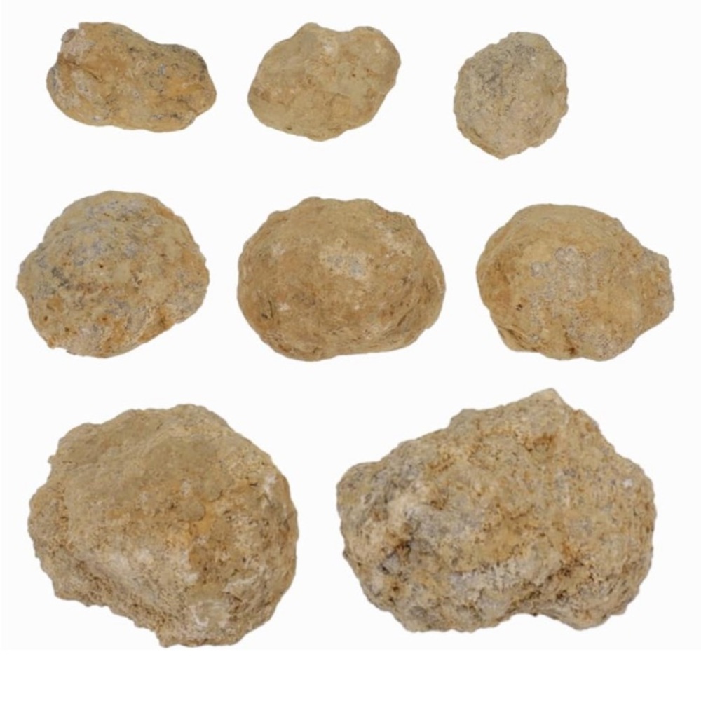 Break open your own Geode! Fun activity for any age.